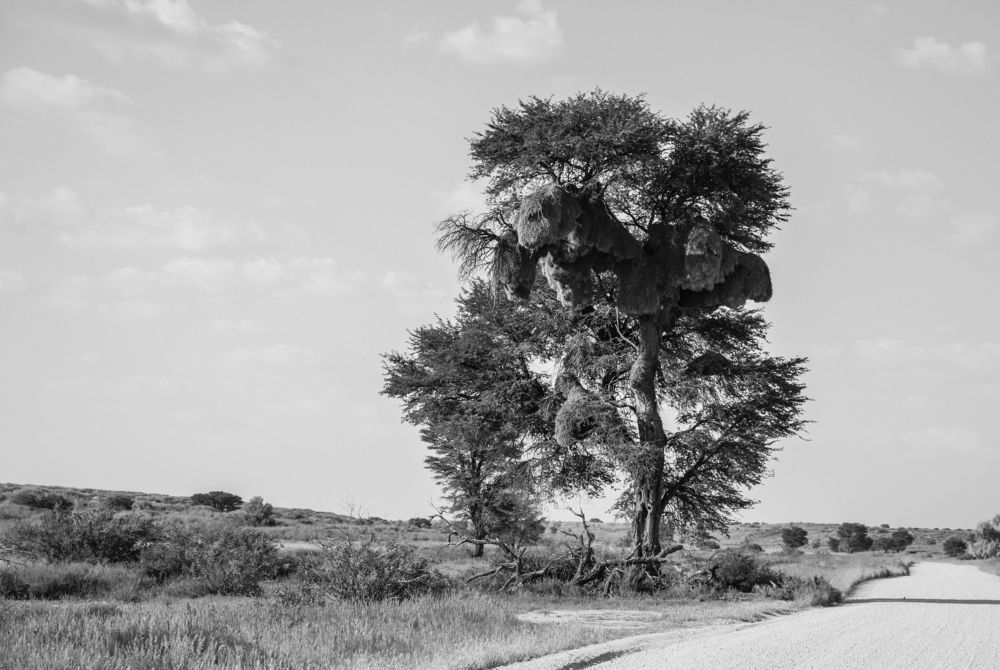 Photograph by Lanie Badenhorst