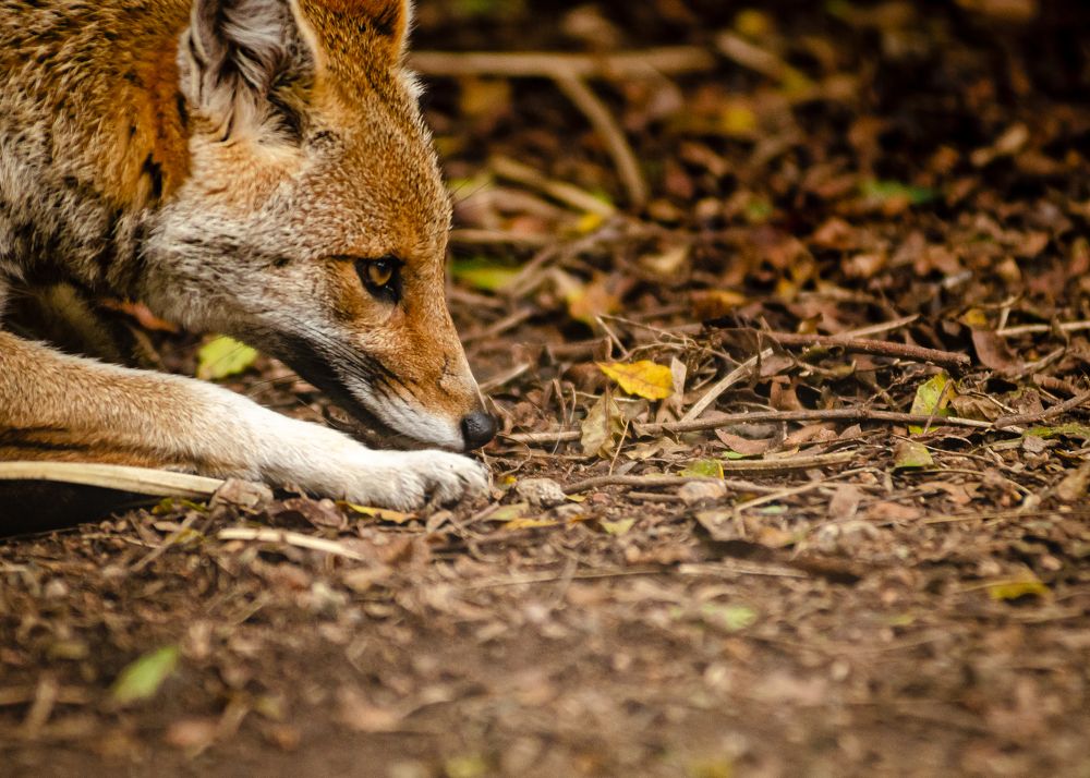 Photograph by Elias Deus