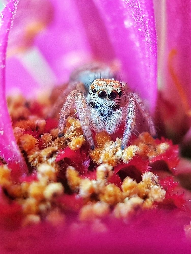 Photograph by Ali goreishi