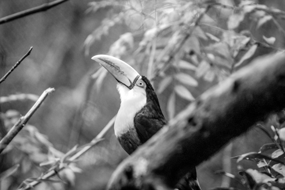 Photograph by Leonardo Carraro