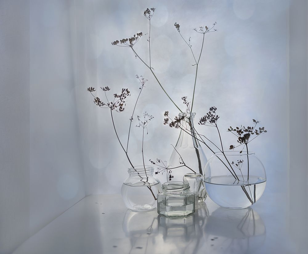 Про стекло и сухоцвет.