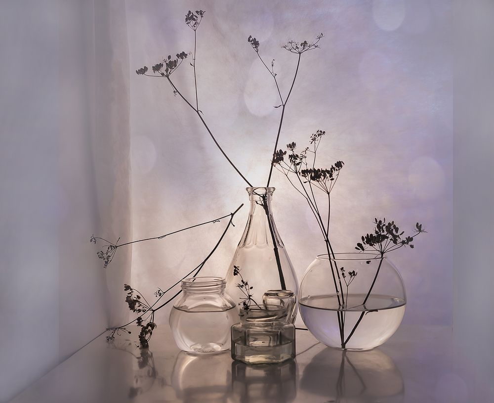 Упавшая ветвь.