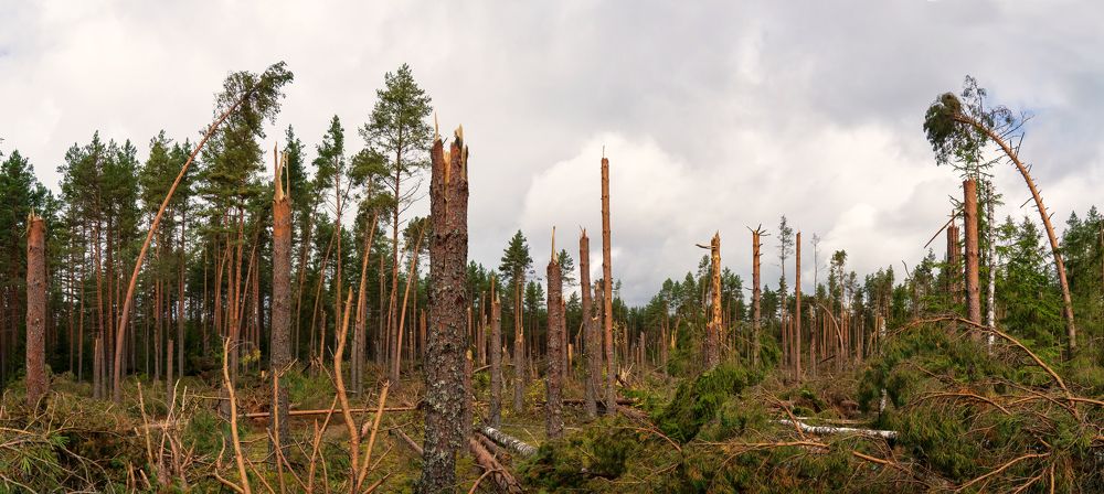 Photograph by Анатолий Еремин