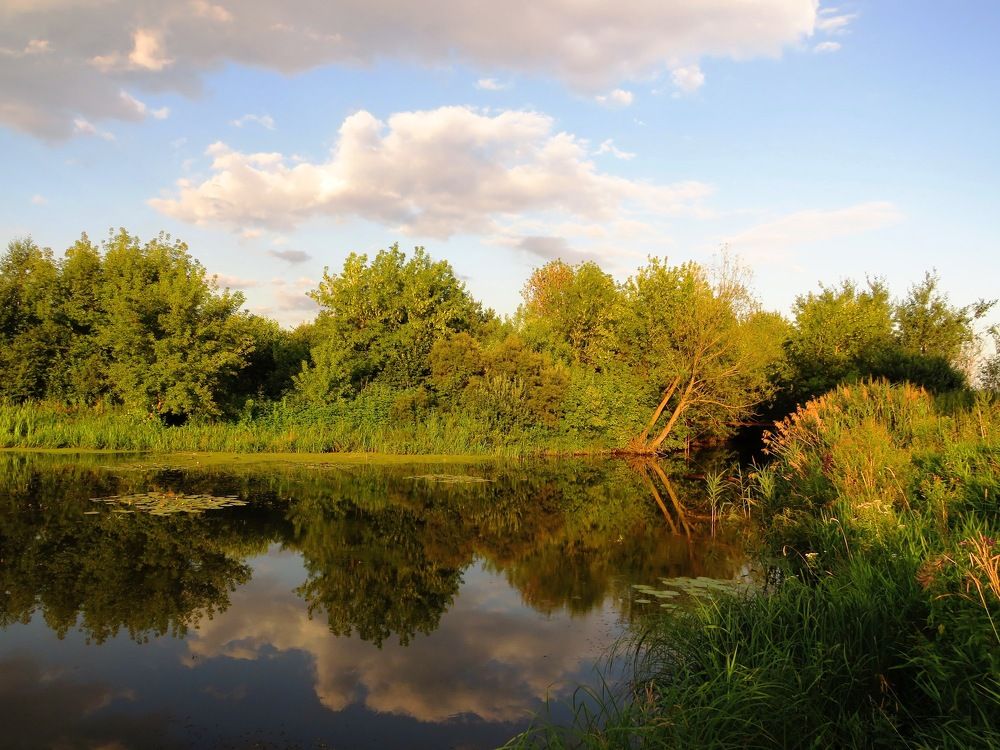 Вечерняя река