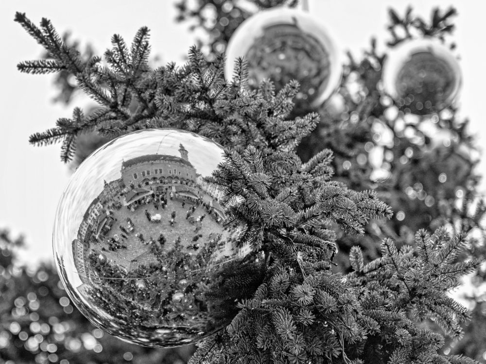 Фотография автора Юрий Макаров