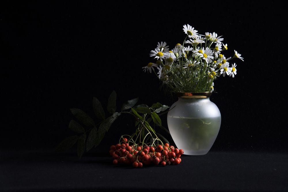 Photograph by Svetlana Khromova