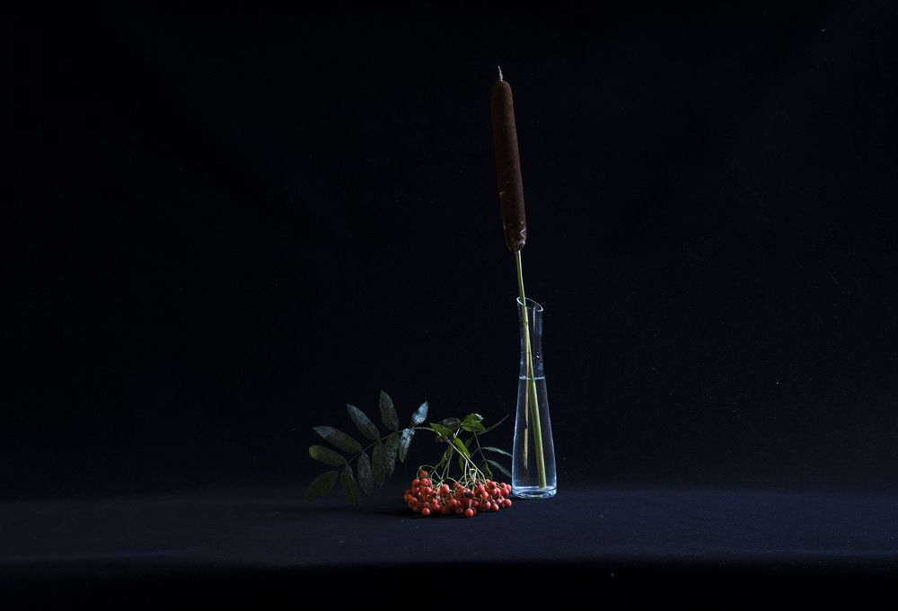 Photograph by Svetlana Khromova