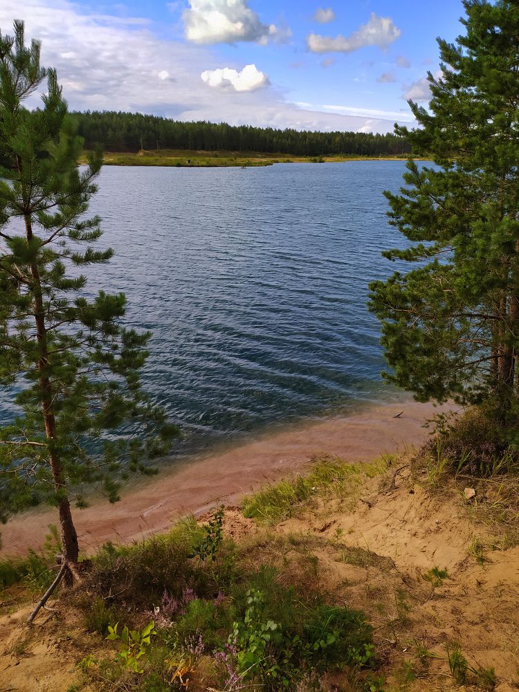 Лесной карьер