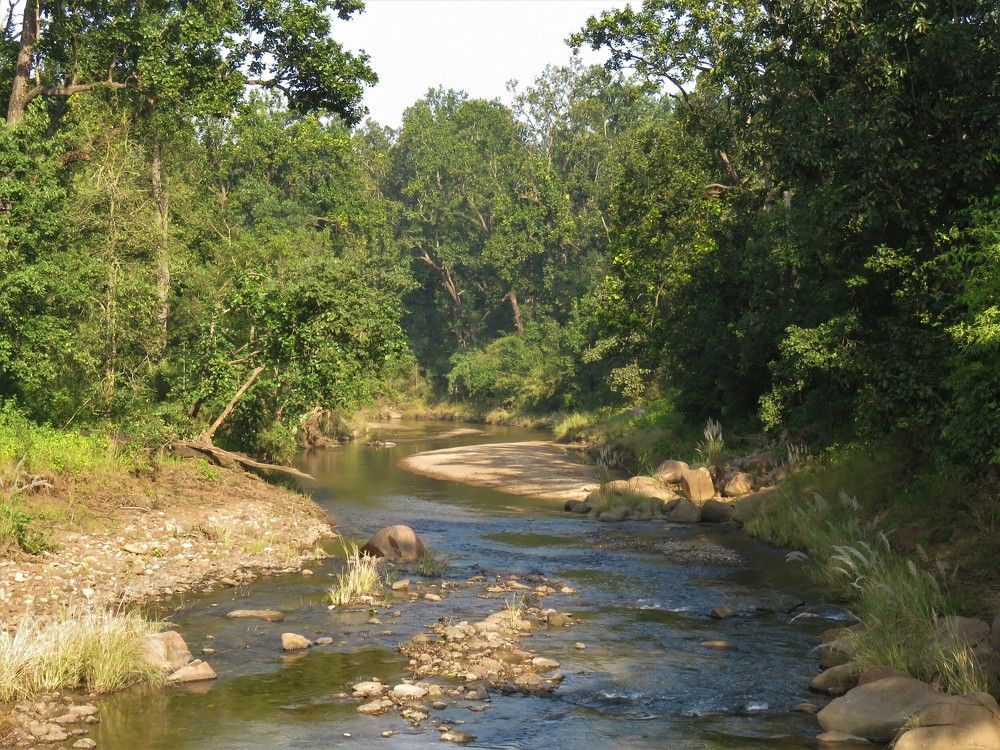Probable Surpan River Tributary
