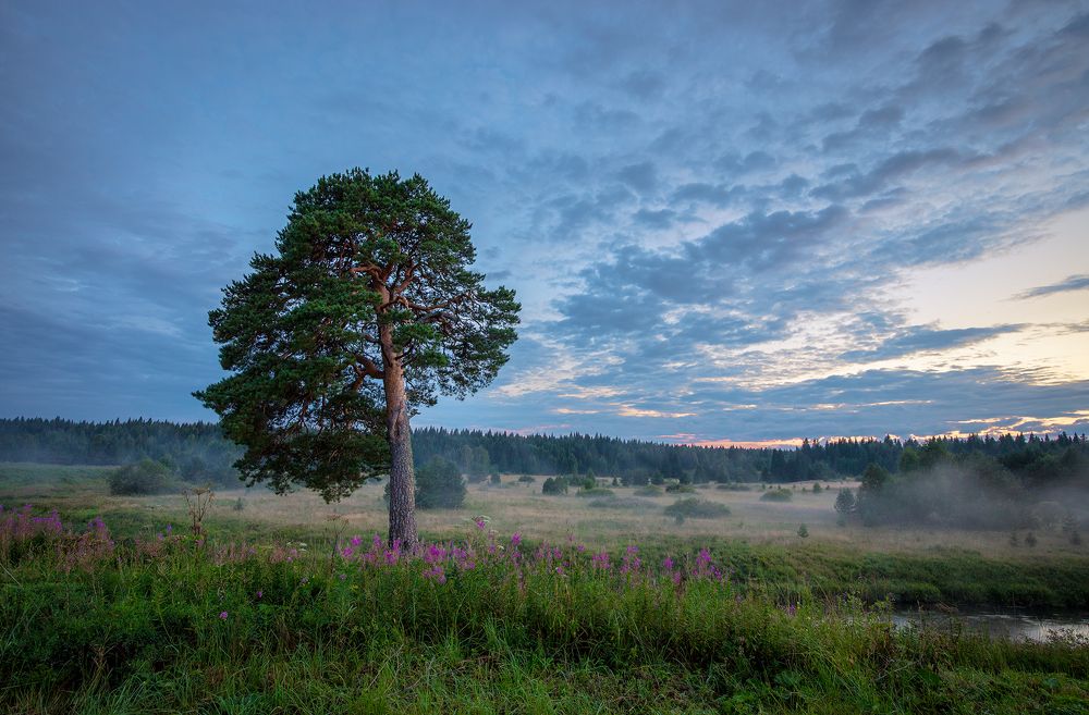 Photograph by Николай Ларионов