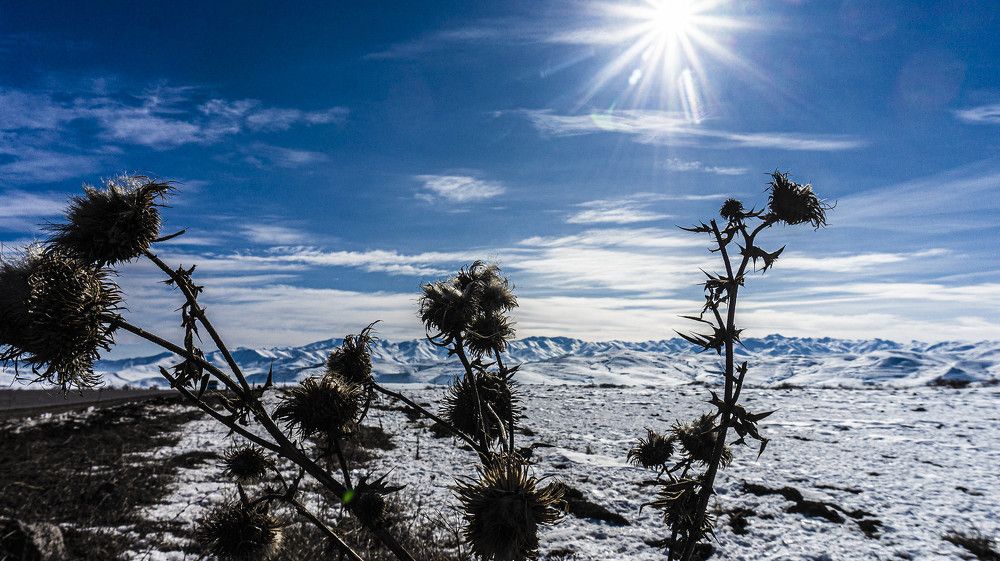 Фотография автора Nikolay Davtyan