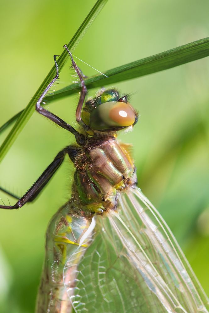 Photograph by Марина Багрова