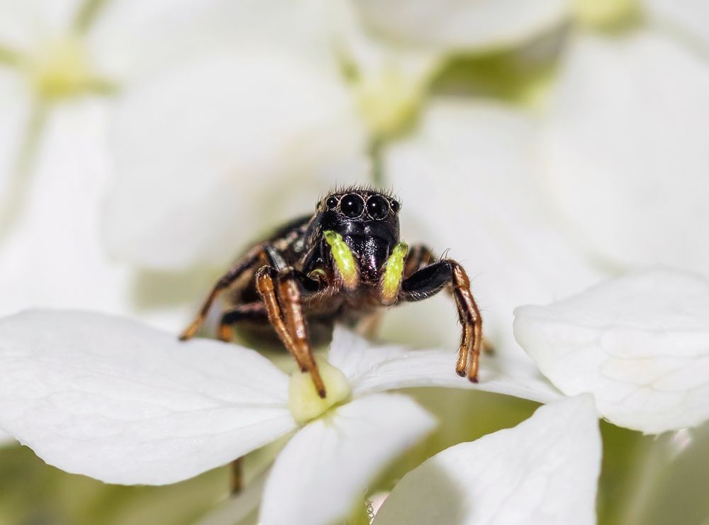 Photograph by Марина Багрова