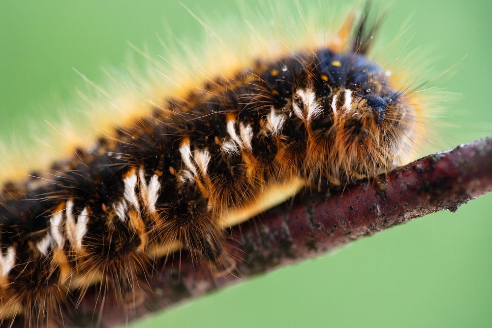 Photograph by Марина Багрова