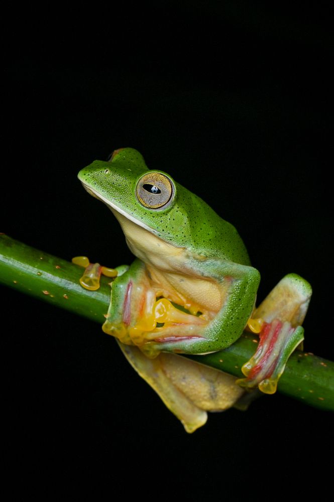 Photograph by Jaithran ss