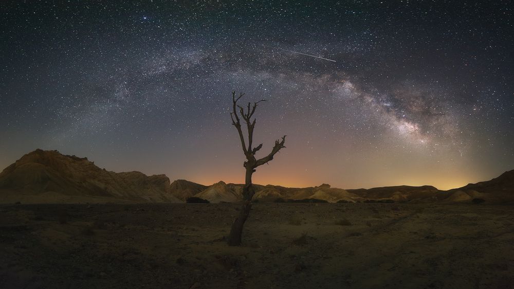 Photograph by Alex Savenok