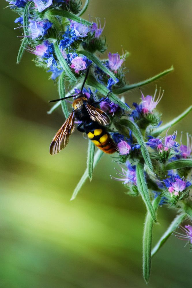Photograph by Inna Logvinova