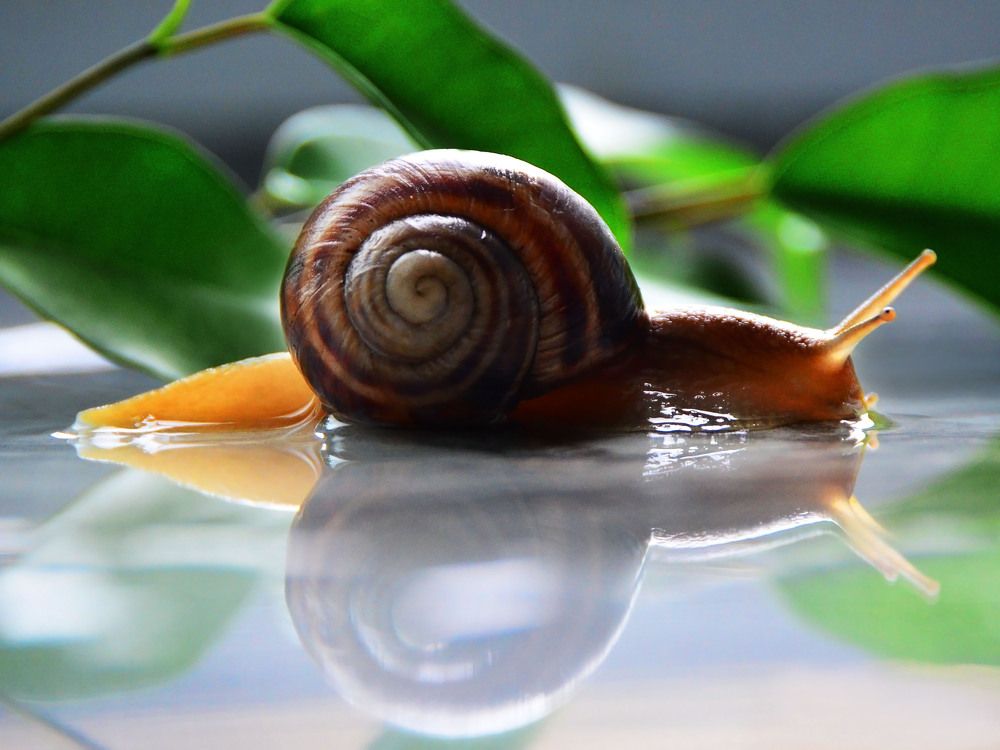 Photograph by Inna Logvinova