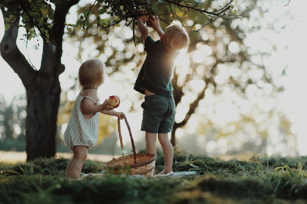 Осень и дети