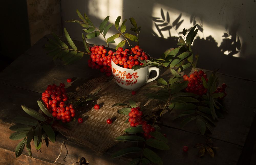 Из рябиновой серии. С чашкой