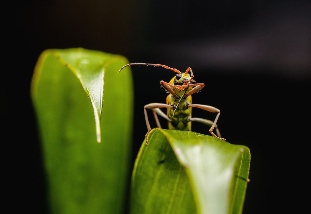 Photograph by Yusuf Buchari