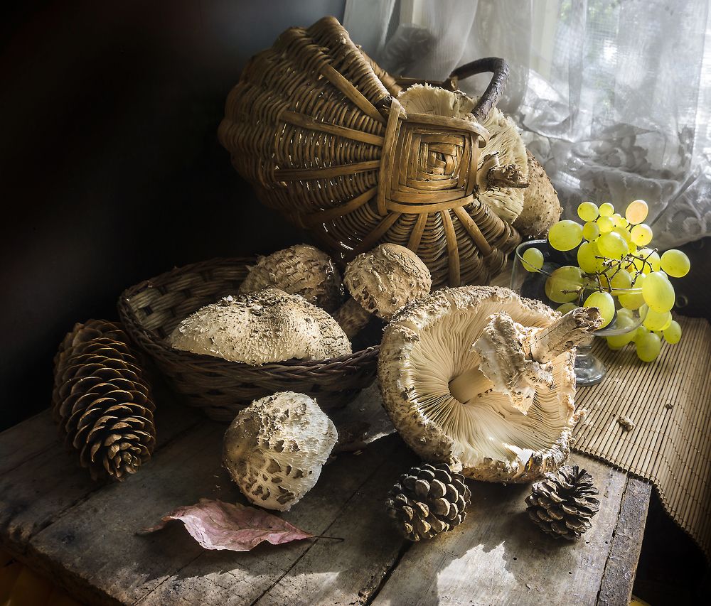 Фотография автора Milena Ivanova