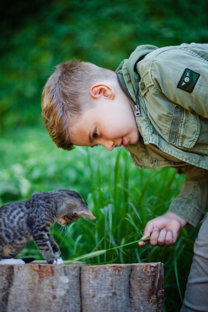 Photograph by Элина Ровенская