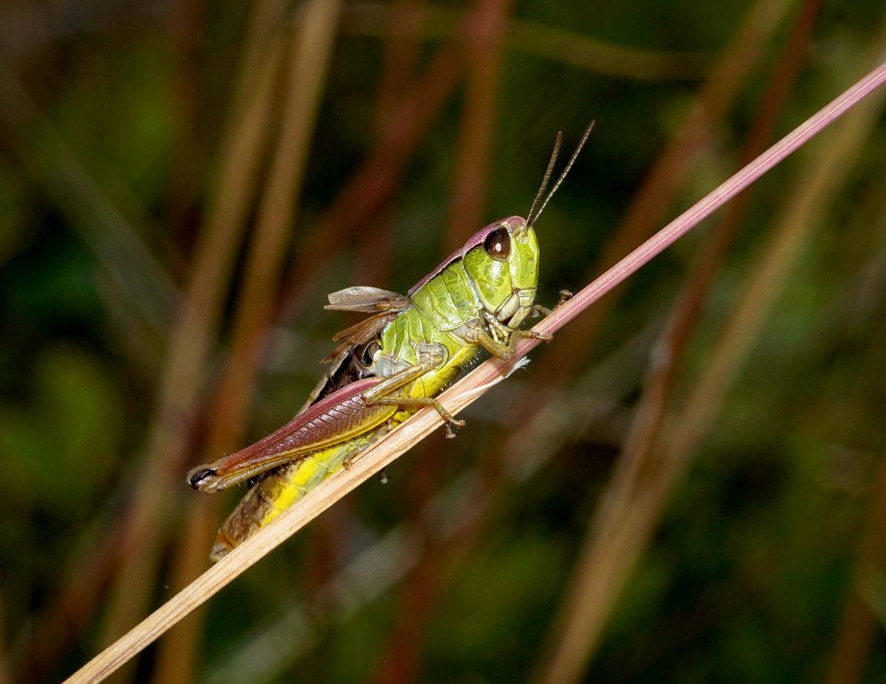 Photograph by Ави Христова