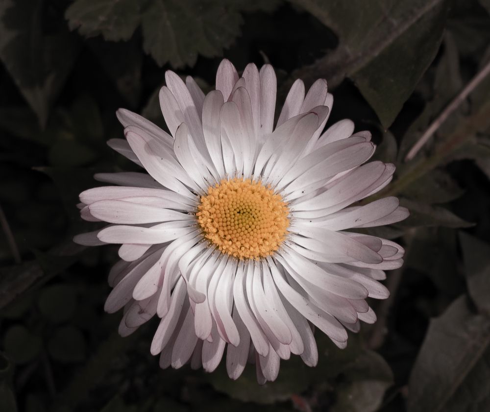 Photograph by Олег Фролов