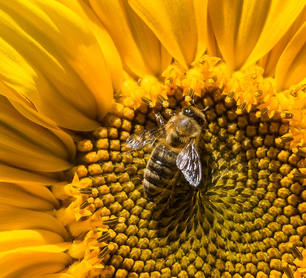 Photograph by Олег Фролов