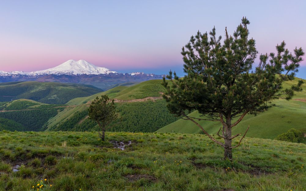 Photograph by Евгения Чех