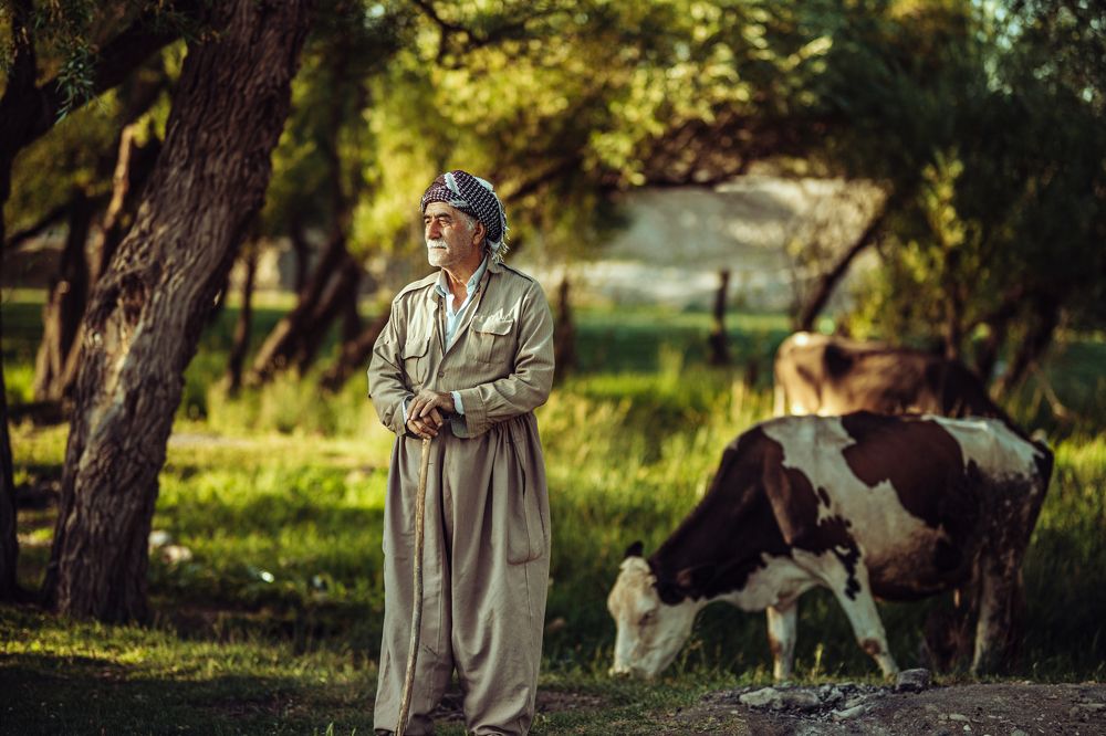 Photograph by Kian Mousazadeh