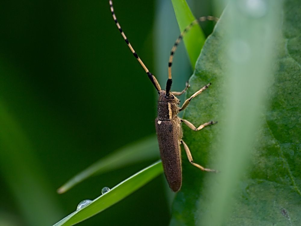 Photograph by Moulay Ahmed KASSI