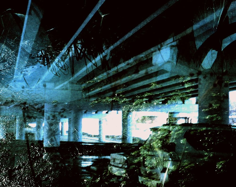 Photograph by Никита Соловьев