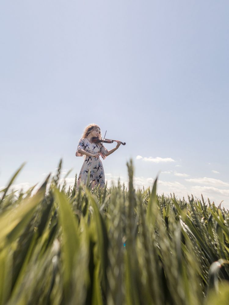 Wheatfield melodies