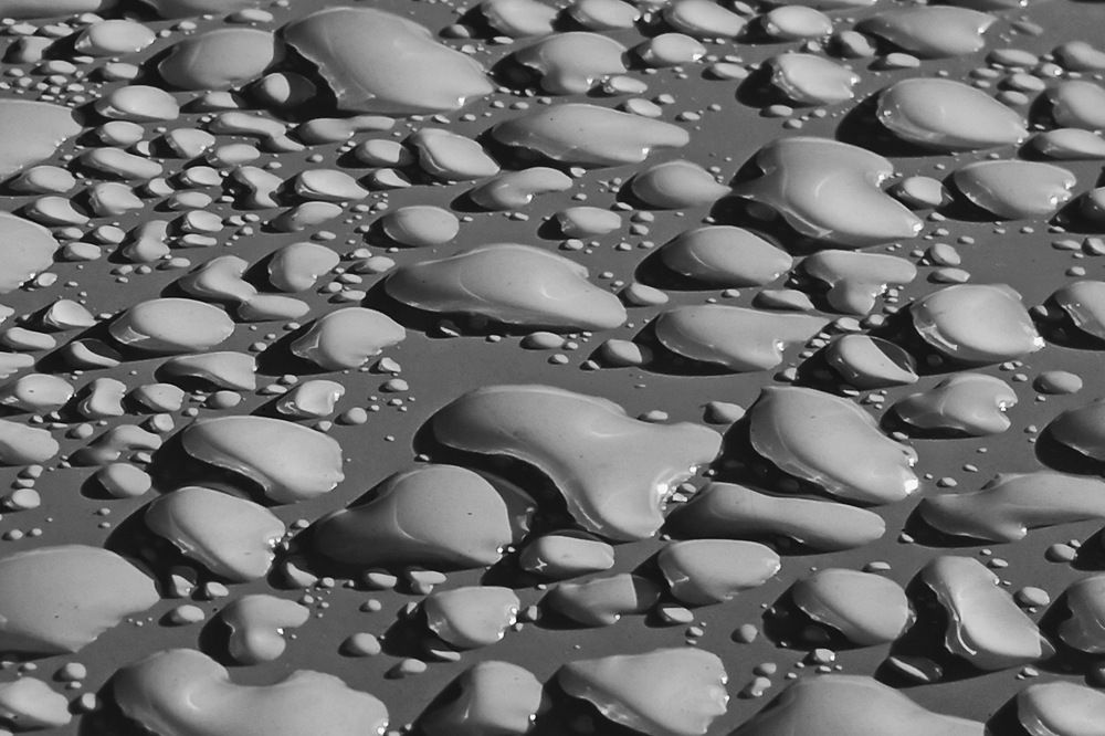 Photograph by Андрей Панин