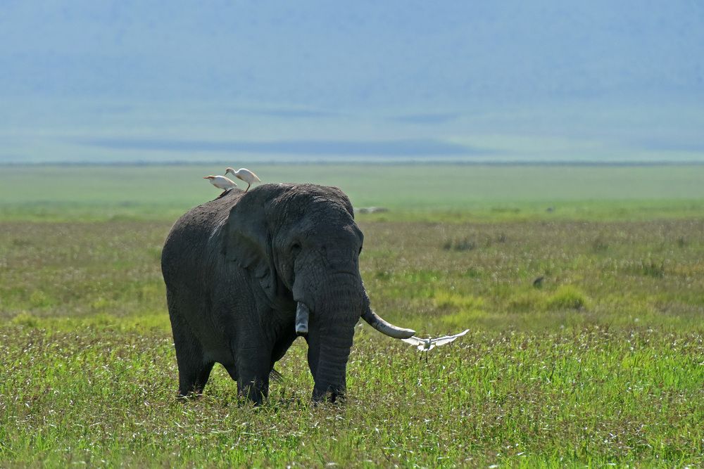 Photograph by Наталья Ляшенко