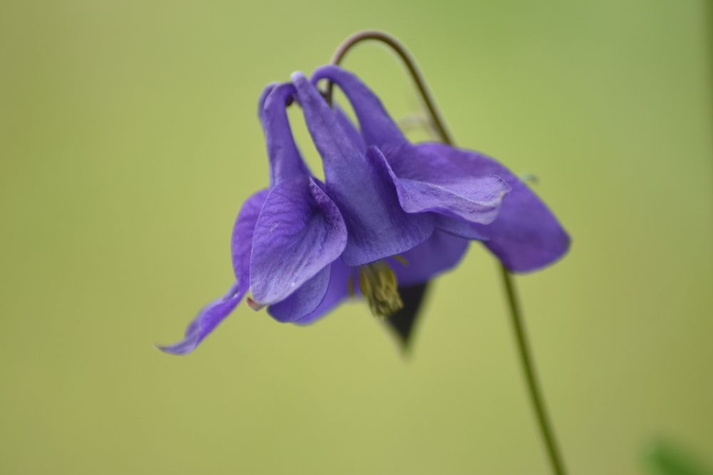 Photograph by Александр Костин