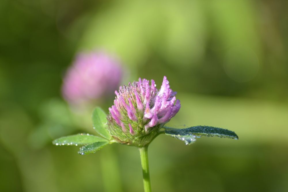 Photograph by Александр Костин