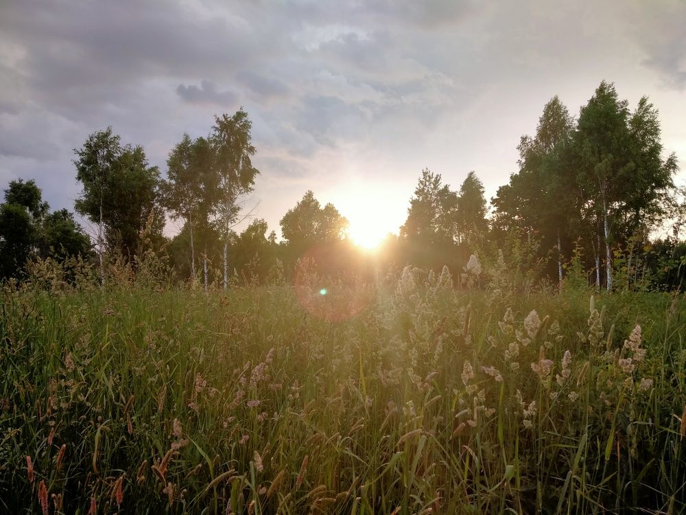 Photo #6471455
