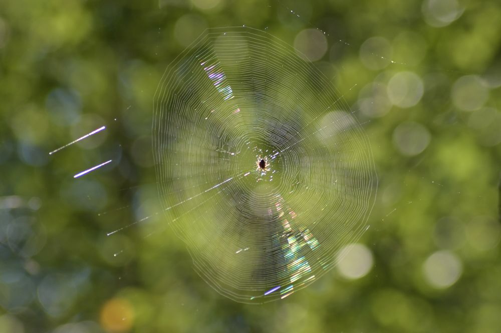 Photograph by Александр Костин