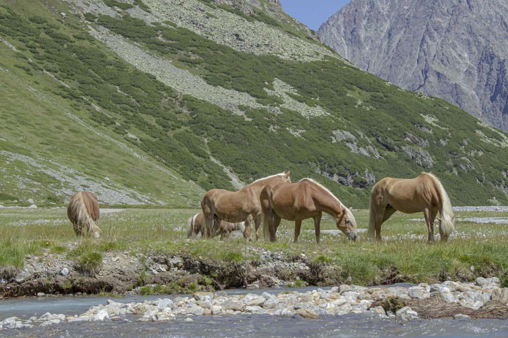 Photograph by Varvara Korniushenko