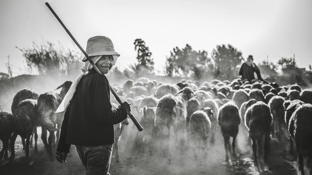 Photograph by Hesham Fathy