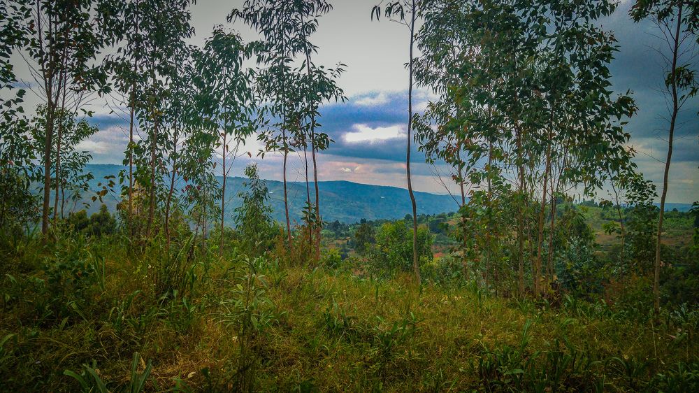 Photograph by Audiel Ishimwe