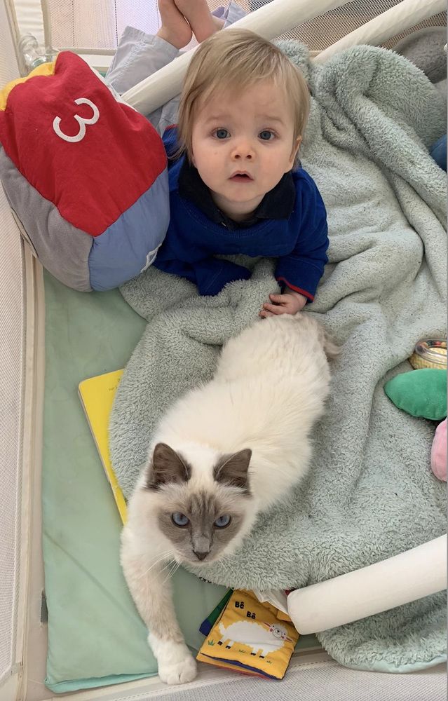 Photograph by Albert Russo