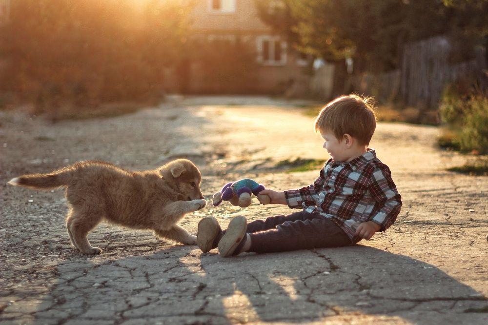 Photograph by Анастасия Кульдишова