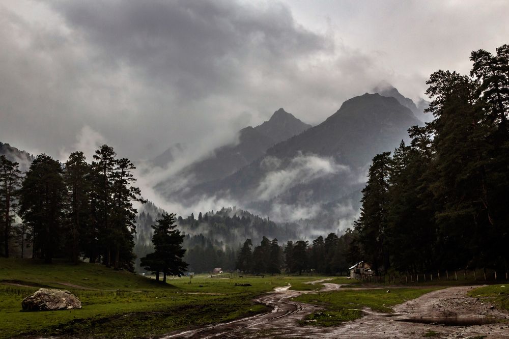 Photograph by Игорь Сидун