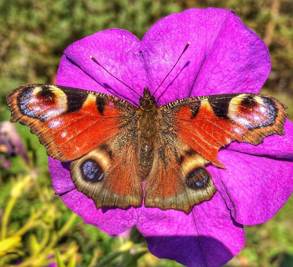 Photograph by Михаил Чмир