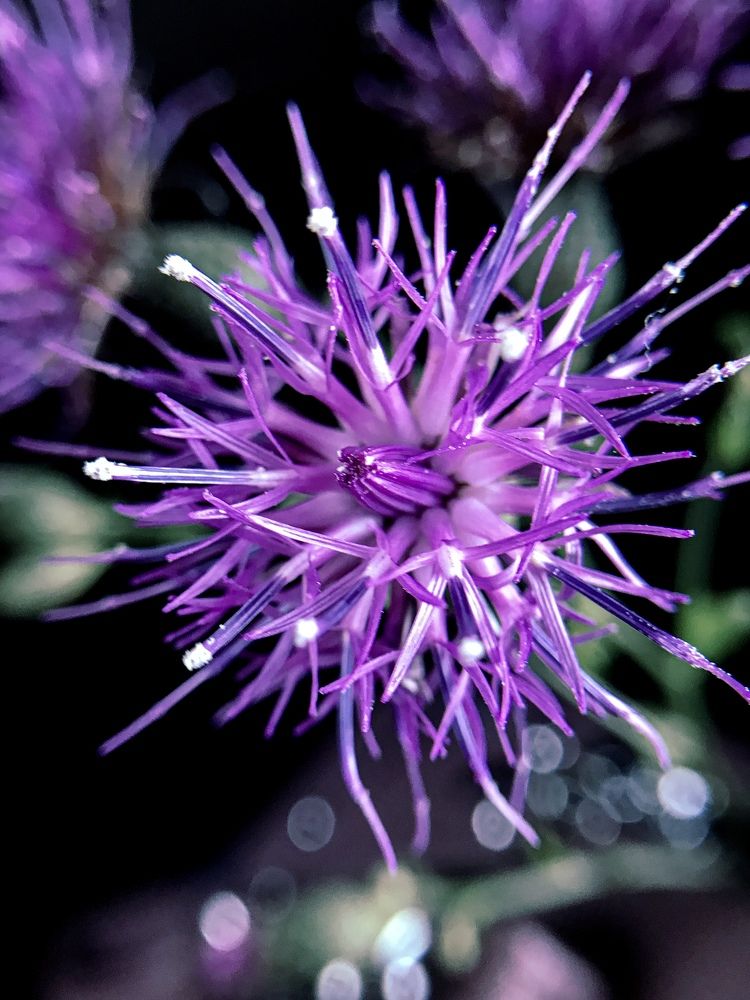 Photograph by Наталья Перерва