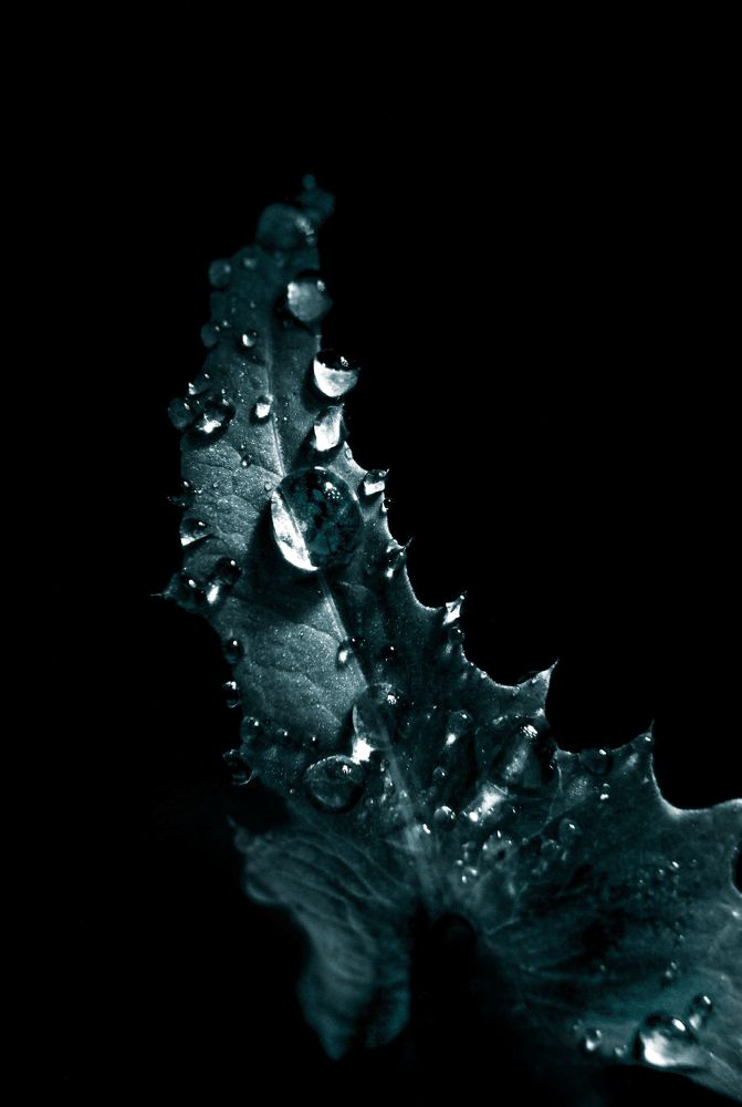 Photograph by Татьяна Рогожа